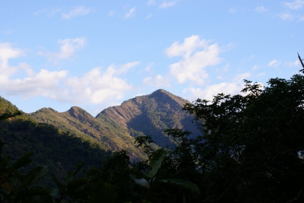 德文山步道 觀望山 健行筆記