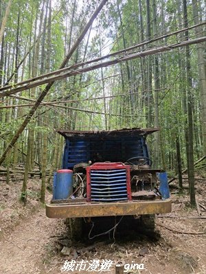 【台中和平】長壽山_肥崠山_山徑3077657