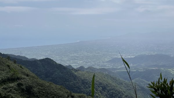 聖母登山步道（抹茶山）2458332