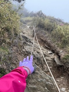 20250524 畢祿山單攻2796485