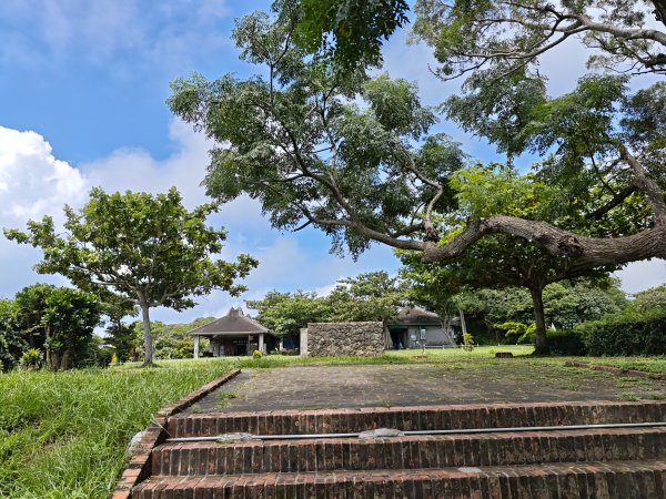 [百山百鳥尋旅-02/15] 2025_0809 社頂自然公園步道2857222