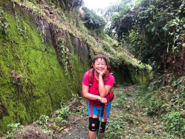 後棟山經挑筍古道上大尖山再走樟湖山1100385