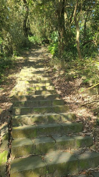 2025-0130溪和宮-大崎頭步道-鵝尾山-平溪步道-鵝尾山水田-42巷-溪山百年古圳-平菁步道2701852