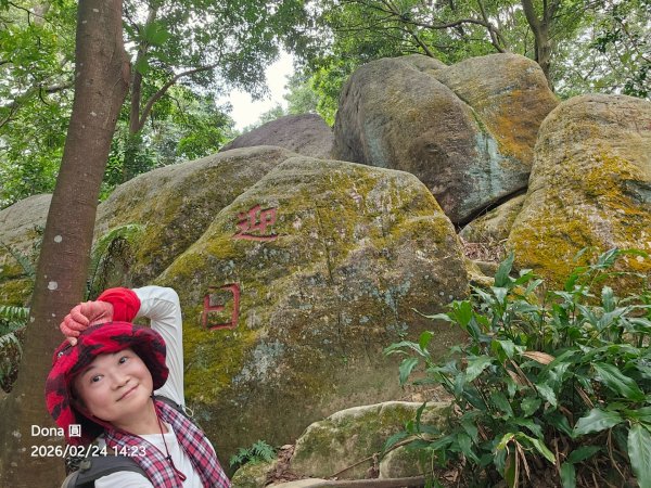 圓通寺烘爐地登山步道大O走3007132
