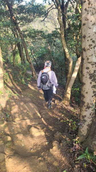 2025-0204 鶯歌_大凍山_三角埔頂山_迴龍2707994