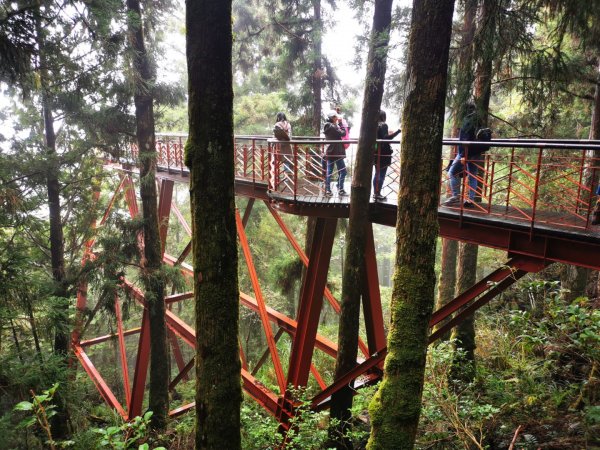 太平山茂興步道封面