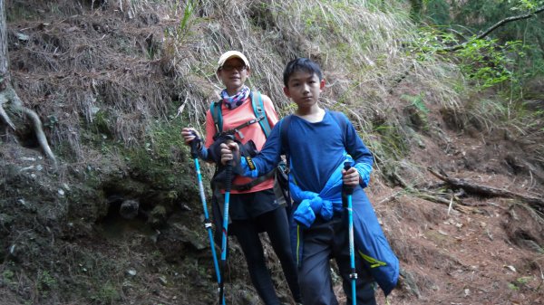 桃山單攻登山健行趣(百岳48號)1541922