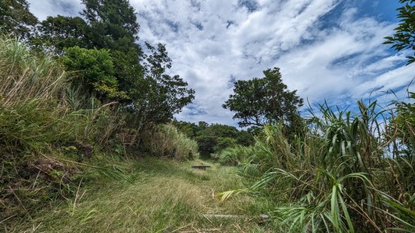 112.07.29獅公髻尾山-大舌湖山2234755