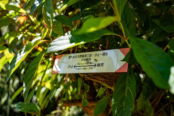 五分山｜小百岳2915441