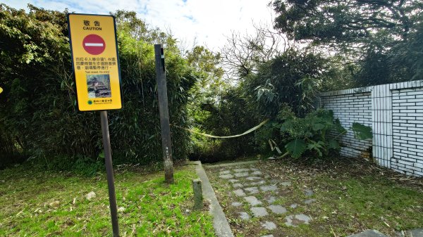 20260125 陽明山前後山健行(無極天元宮~山仔頂步道.向天池.向天山.面天山.二子坪)2998064
