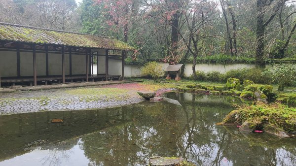 2025-0221 明池步道2718256
