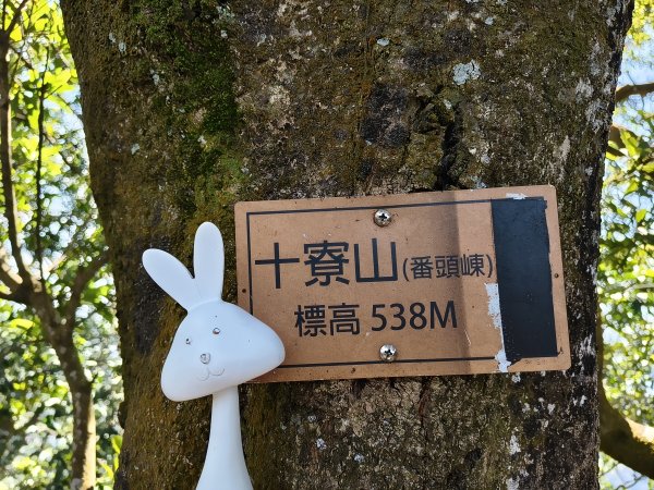 2025/03/01_打牛崎+八寮古道O型2724121