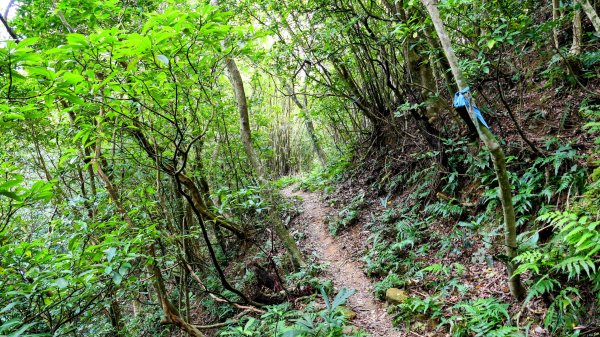 向北的龜溪縱走。評耶哀2777742