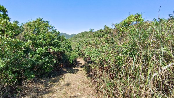 貢寮區三貂角燈塔+萊萊越嶺古道+萊萊山+萊萊三叉峰+吳家古厝+舊草嶺隧道北口+福隆車站3001125