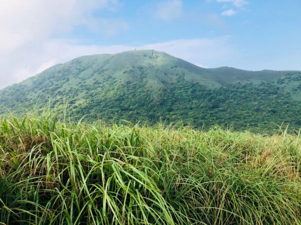 1090503大屯山西峰.南峰950250