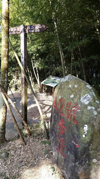 220116-雲嘉大尖山、二尖山、山豬湖-小O繞1653880