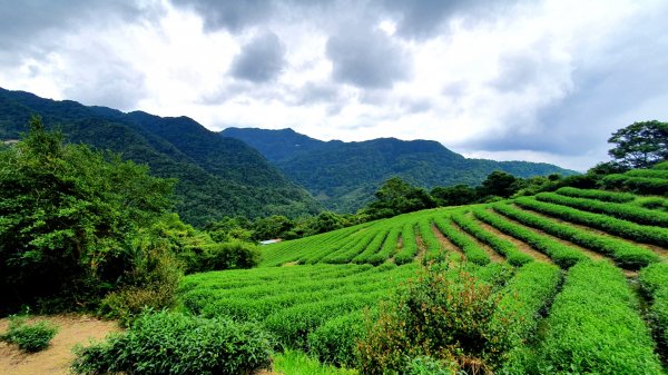 平溪中央尖山，慈恩嶺，東勢格越嶺古道，石碇鱷魚島，南港白匏湖，橫科彈藥庫舊址1751664