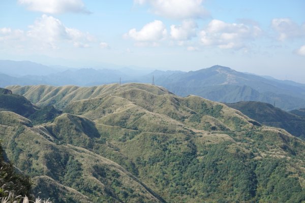 無耳茶壺山步道 - 半屏山芒花季 2023/11/232372323