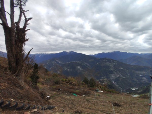 立鷹山森林步道2701096
