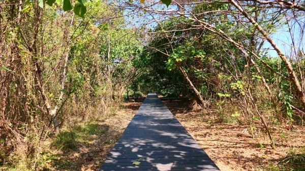 台南知事官邸等3002011