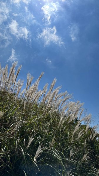 臺北大縱走第三段_登七星而小台北2910353