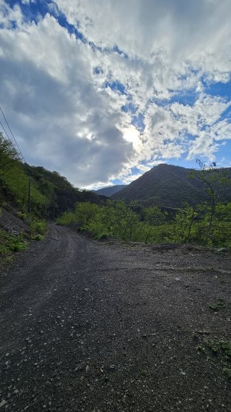 【沒事夏天別走】巴層巴墨山2806733