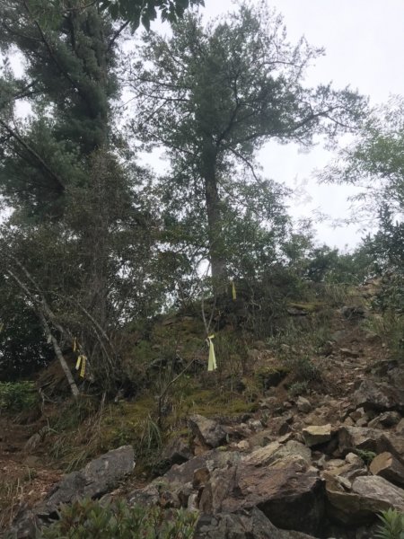 阿冷山、阿冷山前峰、阿冷山北峰685211