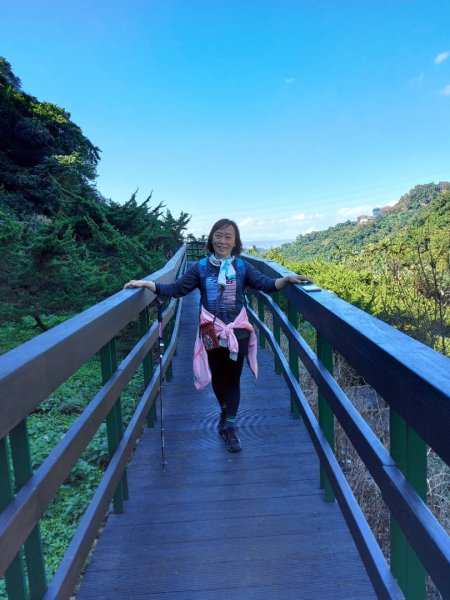 台北大縱走第七段（政大-飛龍步道）202112211617988