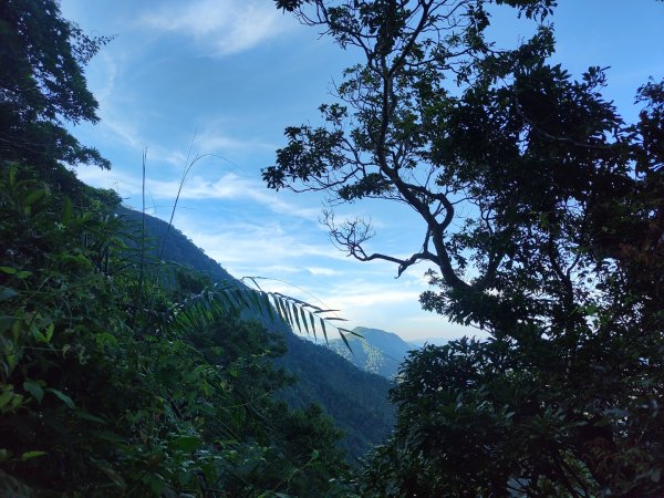 關仔嶺大凍山(夏季不要早上6點來、您會愛上這座山)2552193