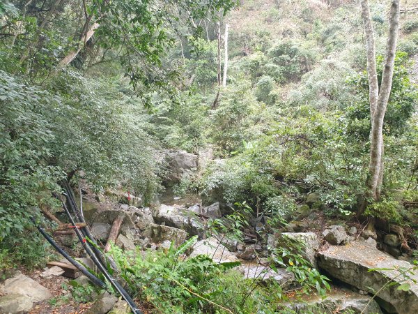 麗陽上屋我尾山2683114