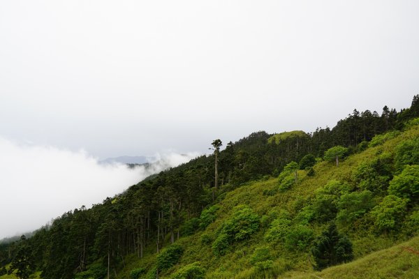 2018-08-03雪山主北431163