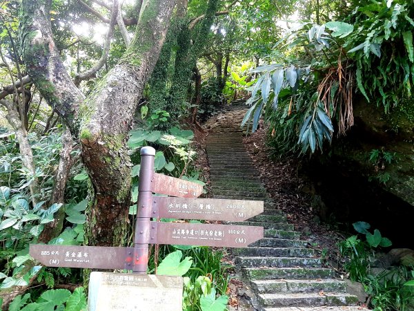 金瓜石，與奈良美智的詩意邂逅2883186