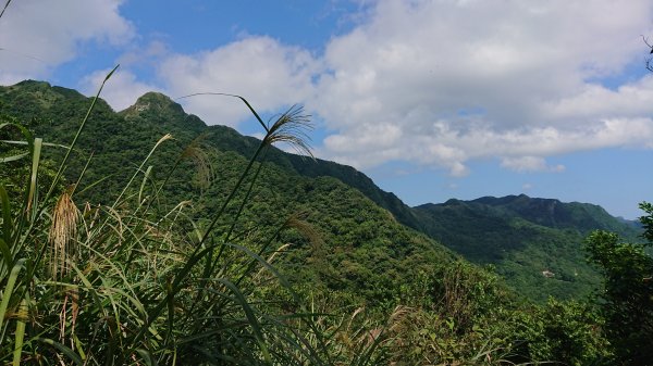 20181021灣坑頭山、桃源谷440621