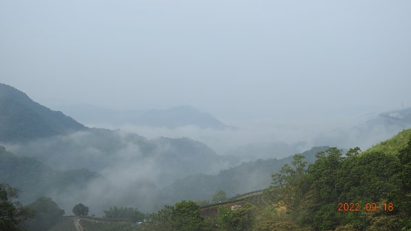 石碇二格山/雲海國小/永安社區&坪林開眼崙/南山寺&平溪靈巖寺1847046