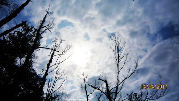  聖母山莊+三角崙山 = 蘭陽名山美境 175494