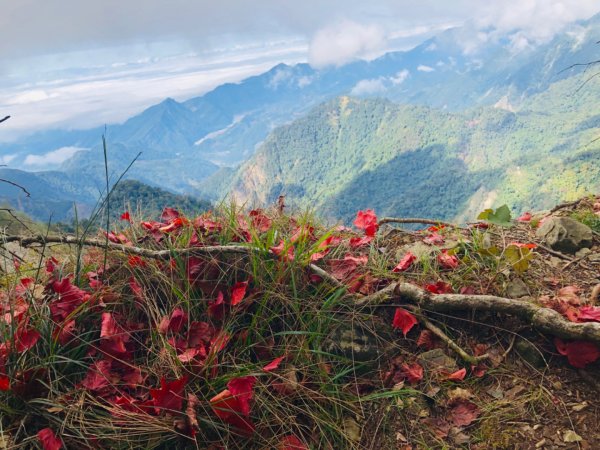 1091220稍來山主峰.南峰1214670