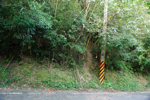 新竹 關西 馬武督山2914163