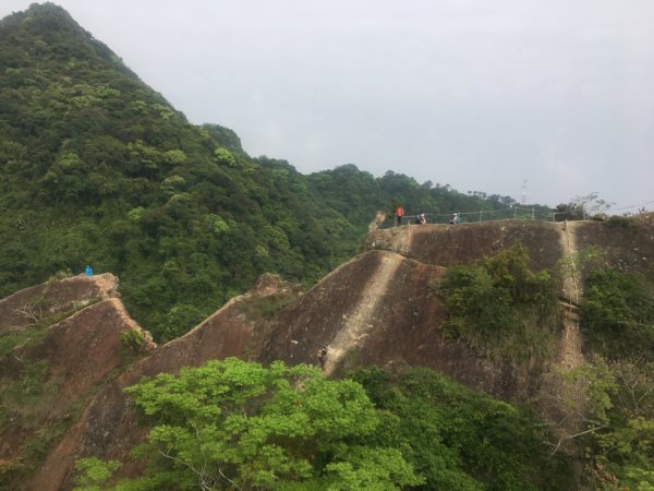 賞花去（五寮尖山、峭壁雄峰、獨立峰2476750