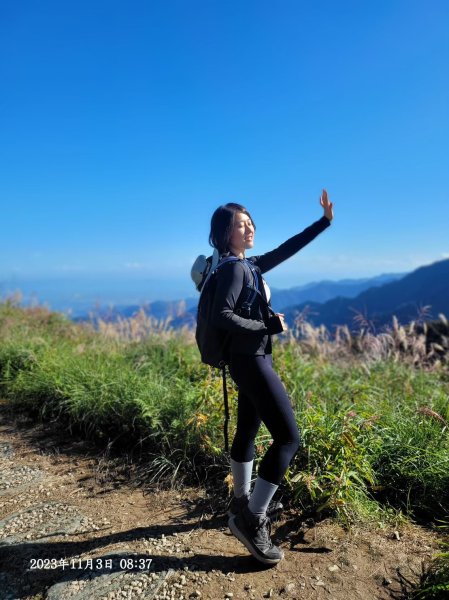 三星山+三星池+望洋山+太平山山毛櫸2432936