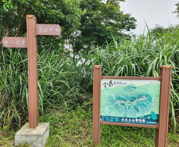 【中級山縱走】雲嘉八連峰（後棟仔山，大尖山，二尖山，馬鞍山，梨子腳山，太平山，大巃頂山及其西北峰）2821134