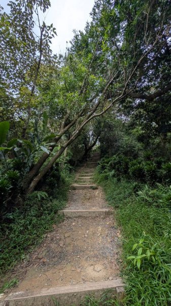 南勢角山步道3122094