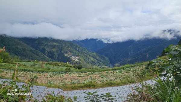 屯野生台山(秀巒山)＆石麻達山連走3129360