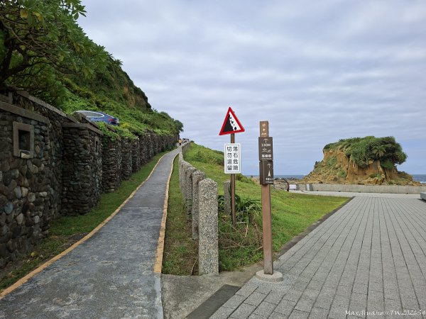 《基隆》奇石黑鳶｜和平島地質公園環山步道O繞202609183121010