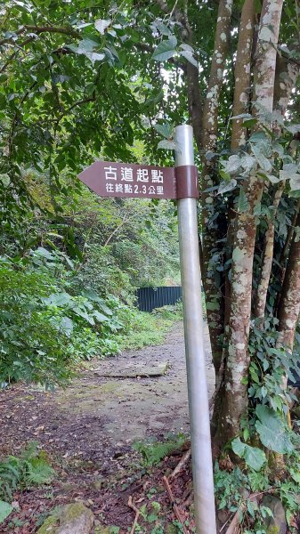 111/01/15新竹縣尖石鄉馬胎古道、南坪古道、內灣山1595590