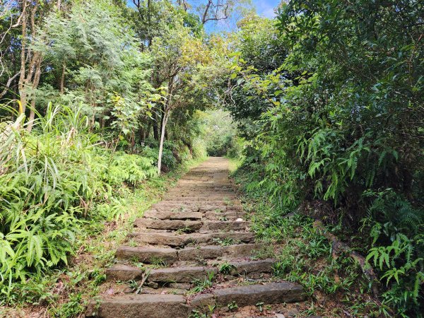 小百岳No.8⛰大崙頭山2594041