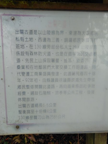 苗栗關刀山2975069