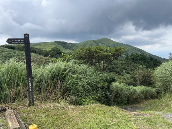 [走遍陽明山]2023_0723 冷擎步道2317519