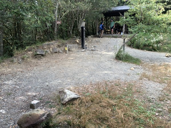 20251018台中八仙山2921446