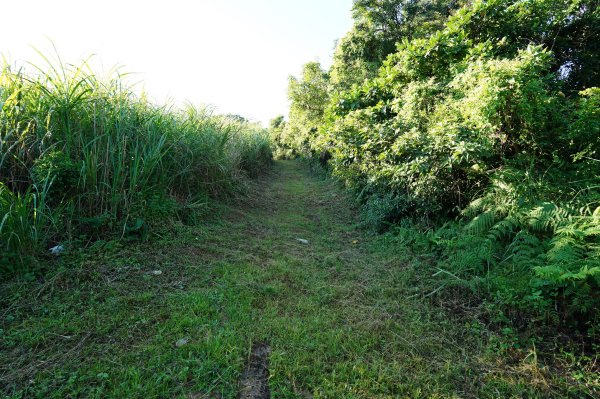 宜蘭 南澳 御恩山2892656