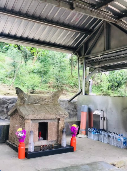 五分山 -小百岳收集起來，馬藍（大青）滿山遍野、桐花陪襯、群蝶紛飛、吸取花蜜1370253